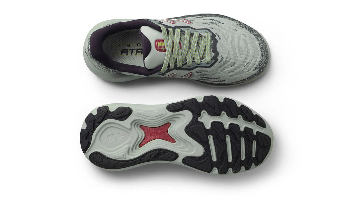 PURITAN GRAY / ANENOME