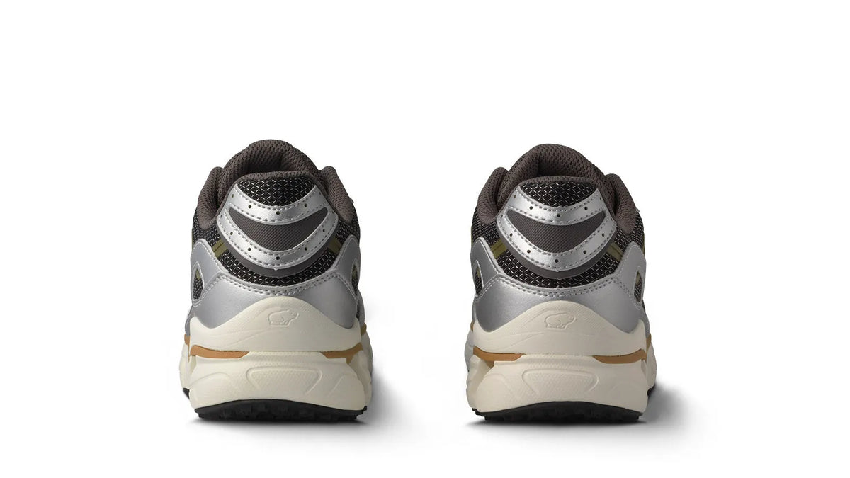SILVER / DARK GULL GRAY