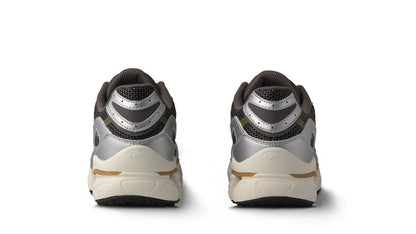SILVER / DARK GULL GRAY