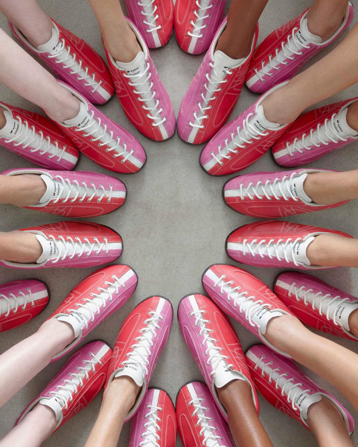 HIGH RISK RED / ORCHID PINK