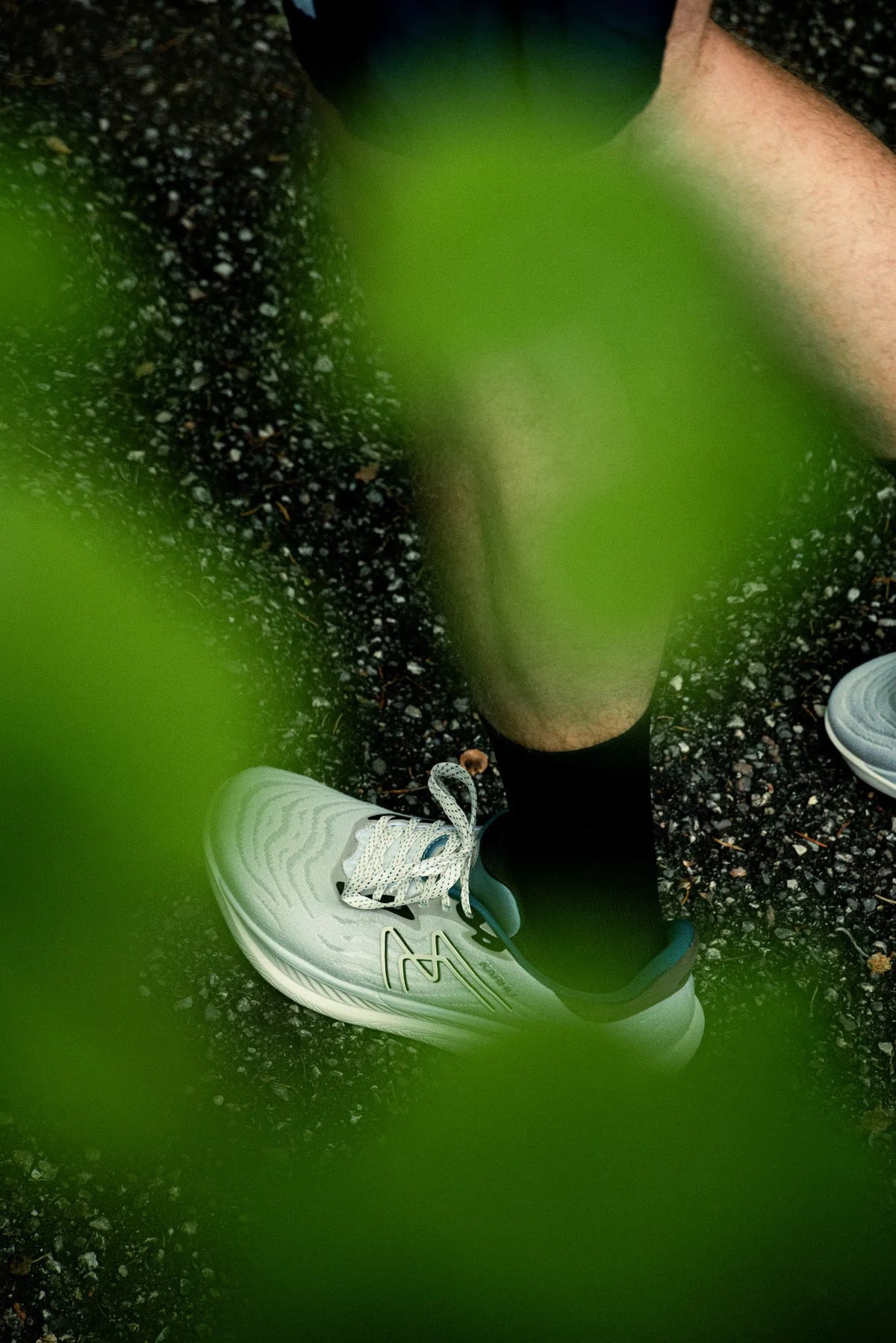 LUNAR ROCK / TURTLEDOVE