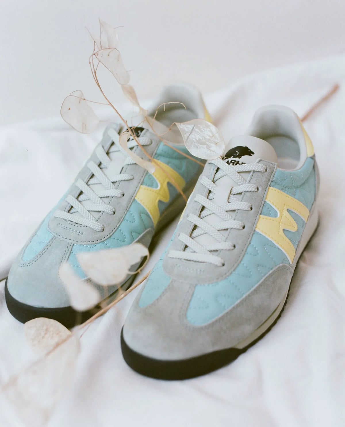 AQUA GRAY / WAX YELLOW