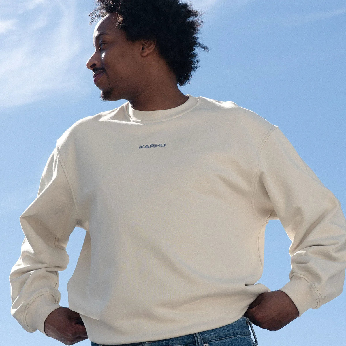 TURTLEDOVE / VINTAGE INDIGO