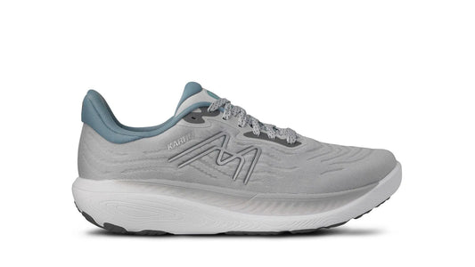 GLACIER GRAY / QUIET SHADE